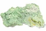 Sparkly, Botryoidal, Green Wavellite Formation - Arkansas #210663-1